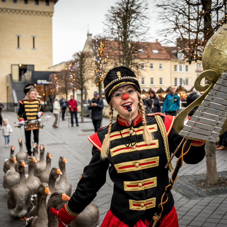 Ganzen paraderen door de straten van Valkenburg